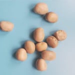 Faba Beans for Sale
